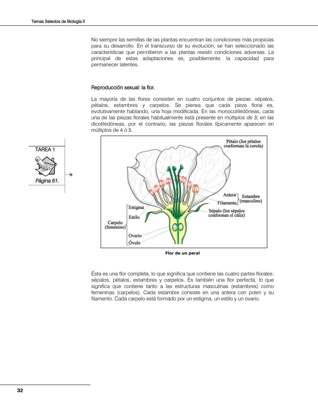 Hongos
Algas
Plantas
Bacterias
Seres vivos
Animales
Unidad 2
Biología de
plantas y
hongos.
Objetivos:
El alumno:
Argumentará la evolu