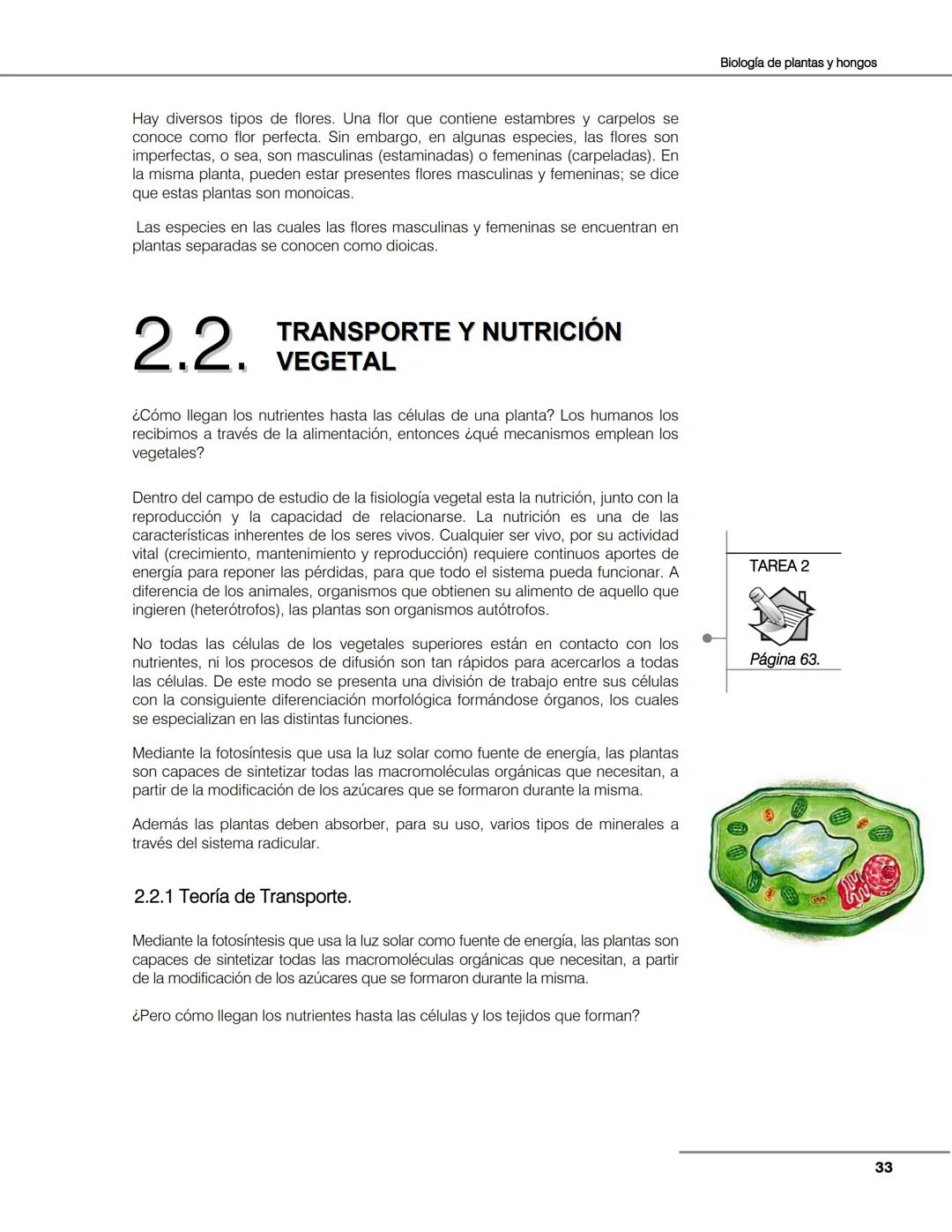 Hongos
Algas
Plantas
Bacterias
Seres vivos
Animales
Unidad 2
Biología de
plantas y
hongos.
Objetivos:
El alumno:
Argumentará la evolu