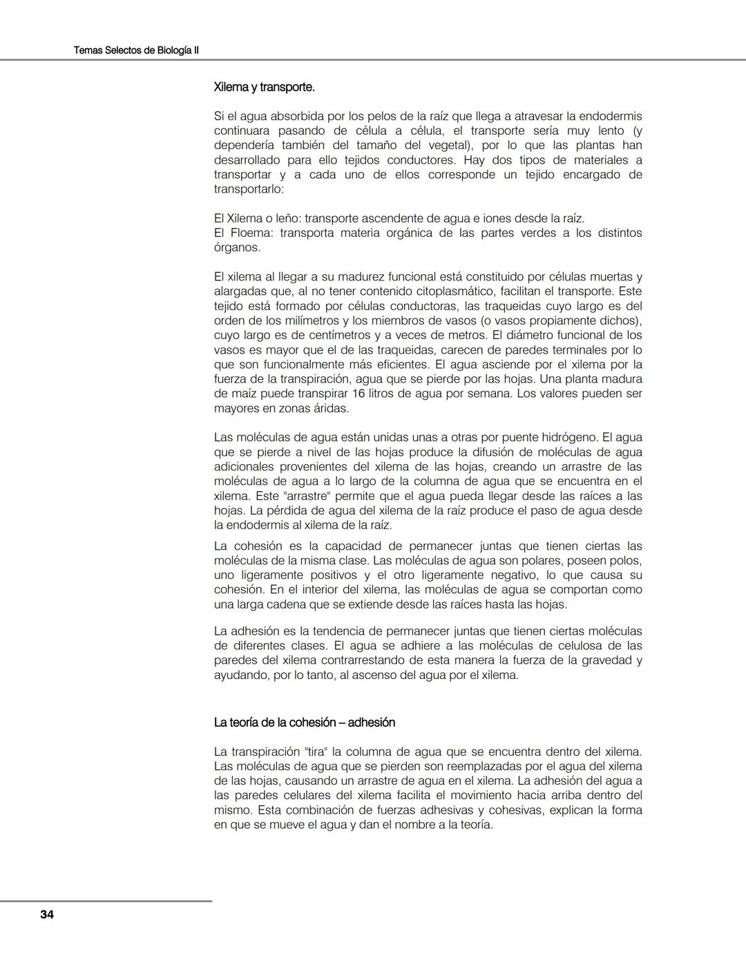 Hongos
Algas
Plantas
Bacterias
Seres vivos
Animales
Unidad 2
Biología de
plantas y
hongos.
Objetivos:
El alumno:
Argumentará la evolu