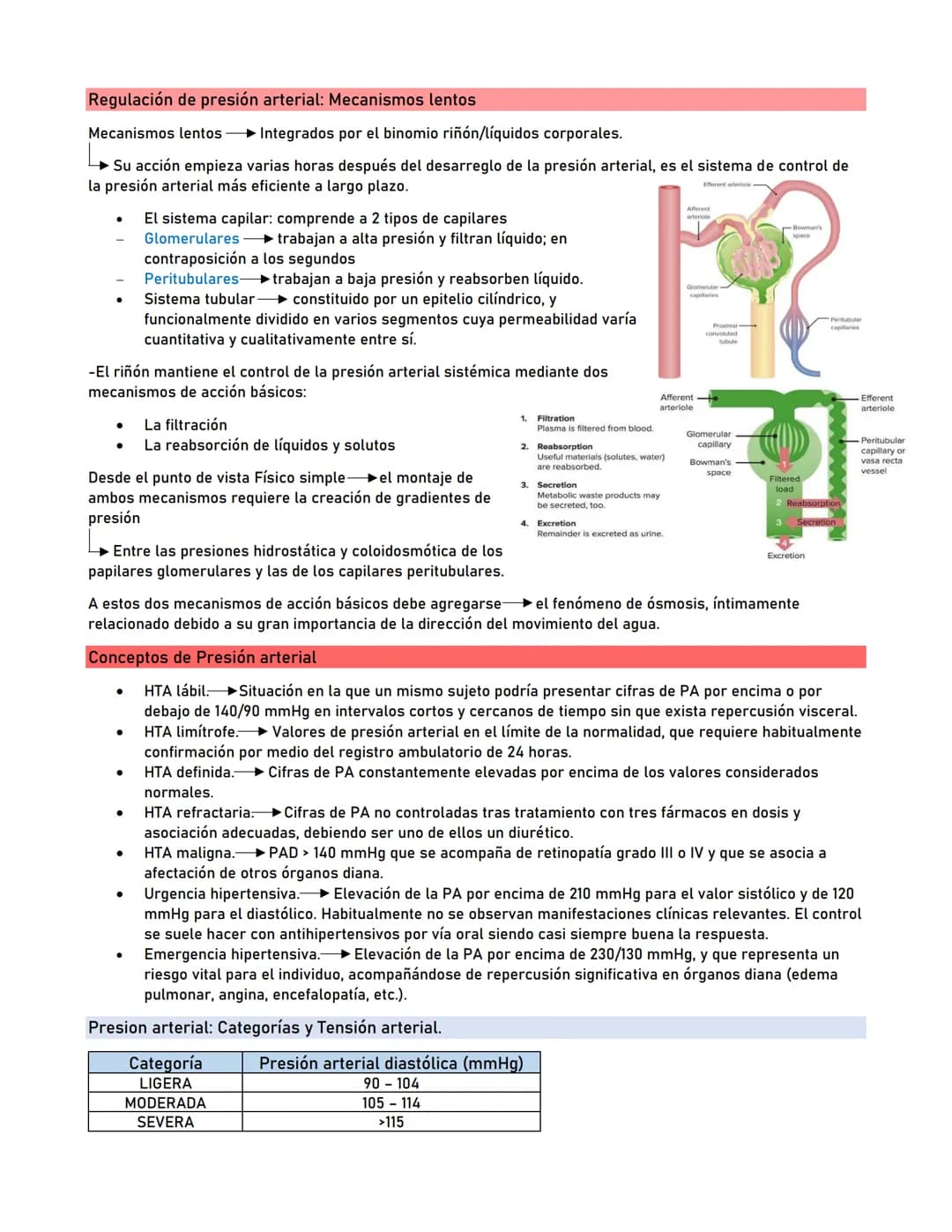 # Presión Arterial
Generalidades
La presión arterial es la fuerza que ejerce la sangre contra las paredes de las arterias al ser bobeada p