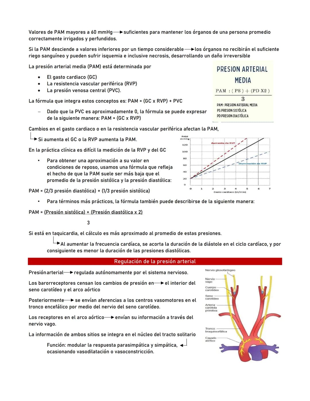 # Presión Arterial
Generalidades
La presión arterial es la fuerza que ejerce la sangre contra las paredes de las arterias al ser bobeada p