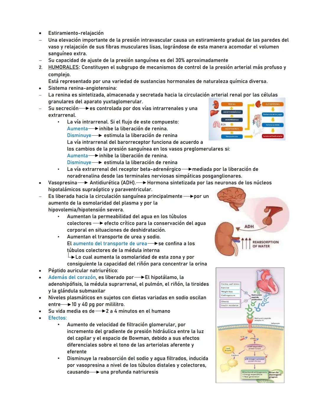 # Presión Arterial
Generalidades
La presión arterial es la fuerza que ejerce la sangre contra las paredes de las arterias al ser bobeada p