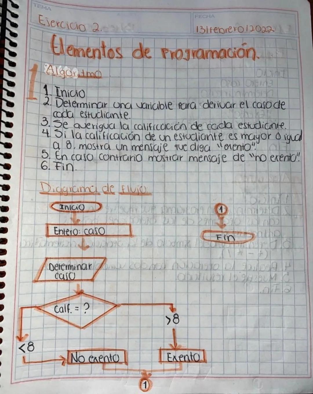 Elementos Claves en la Programación