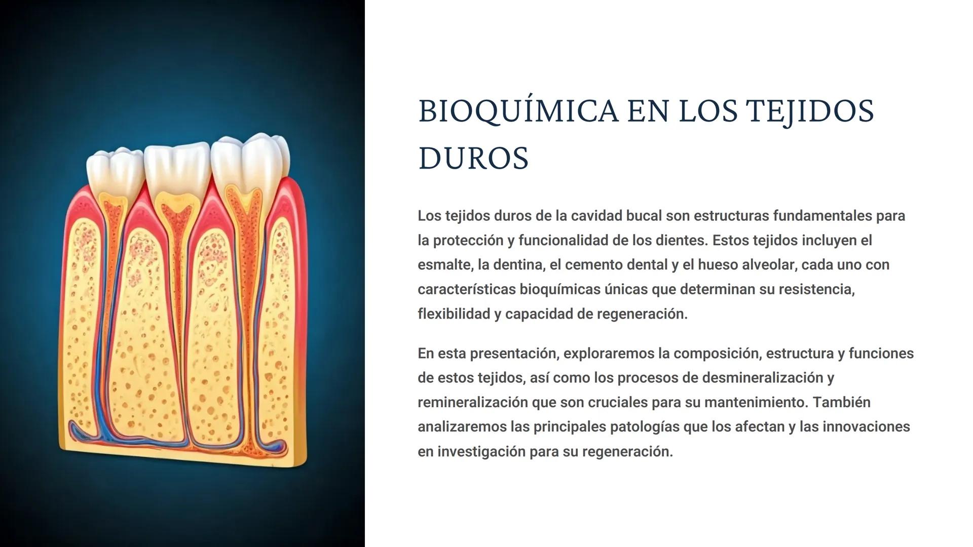 # BIOQUÍMICA EN LOS TEJIDOS
DUROS
Los tejidos duros de la cavidad bucal son estructuras fundamentales para
la protección y funcionalidad de