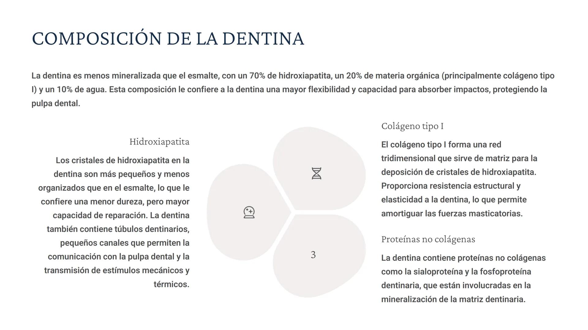 # BIOQUÍMICA EN LOS TEJIDOS
DUROS
Los tejidos duros de la cavidad bucal son estructuras fundamentales para
la protección y funcionalidad de