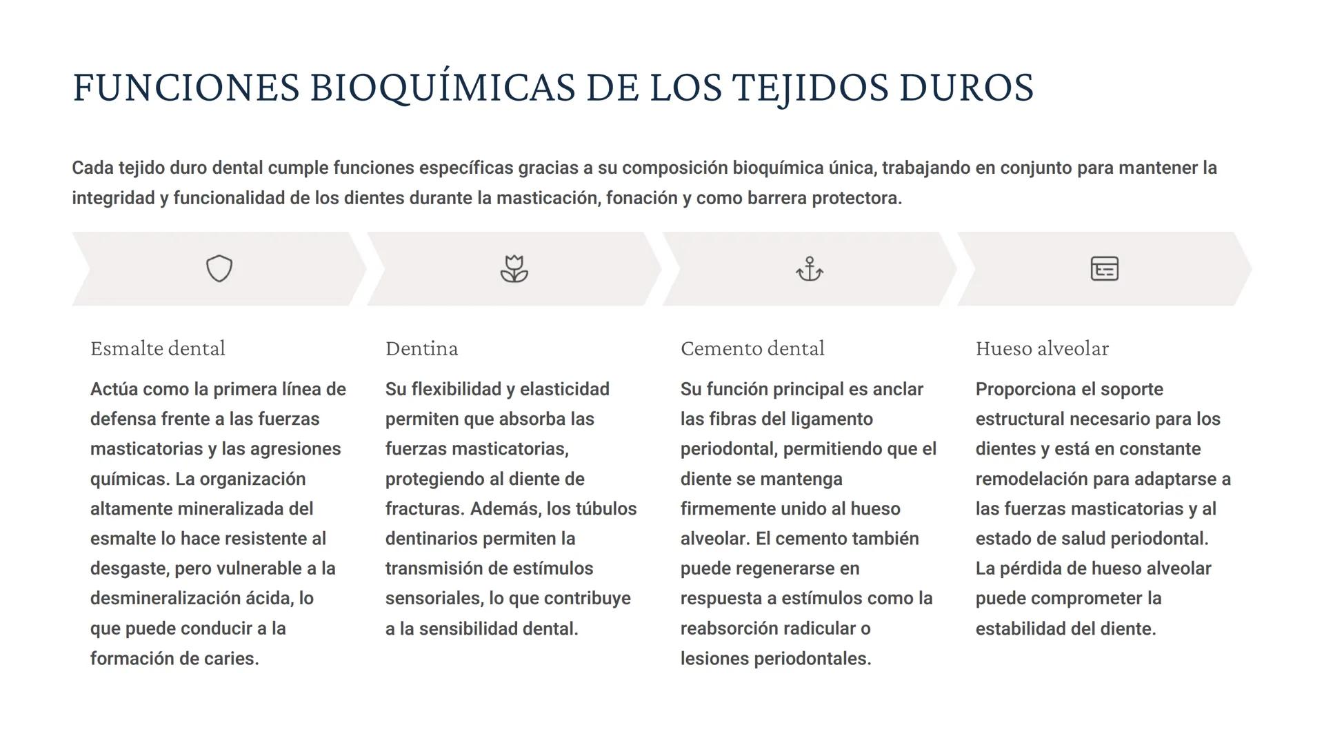 # BIOQUÍMICA EN LOS TEJIDOS
DUROS
Los tejidos duros de la cavidad bucal son estructuras fundamentales para
la protección y funcionalidad de