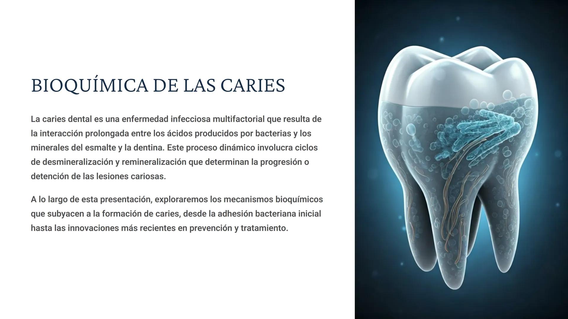 # BIOQUÍMICA DE LAS CARIES
La caries dental es una enfermedad infecciosa multifactorial que resulta de
la interacción prolongada entre los