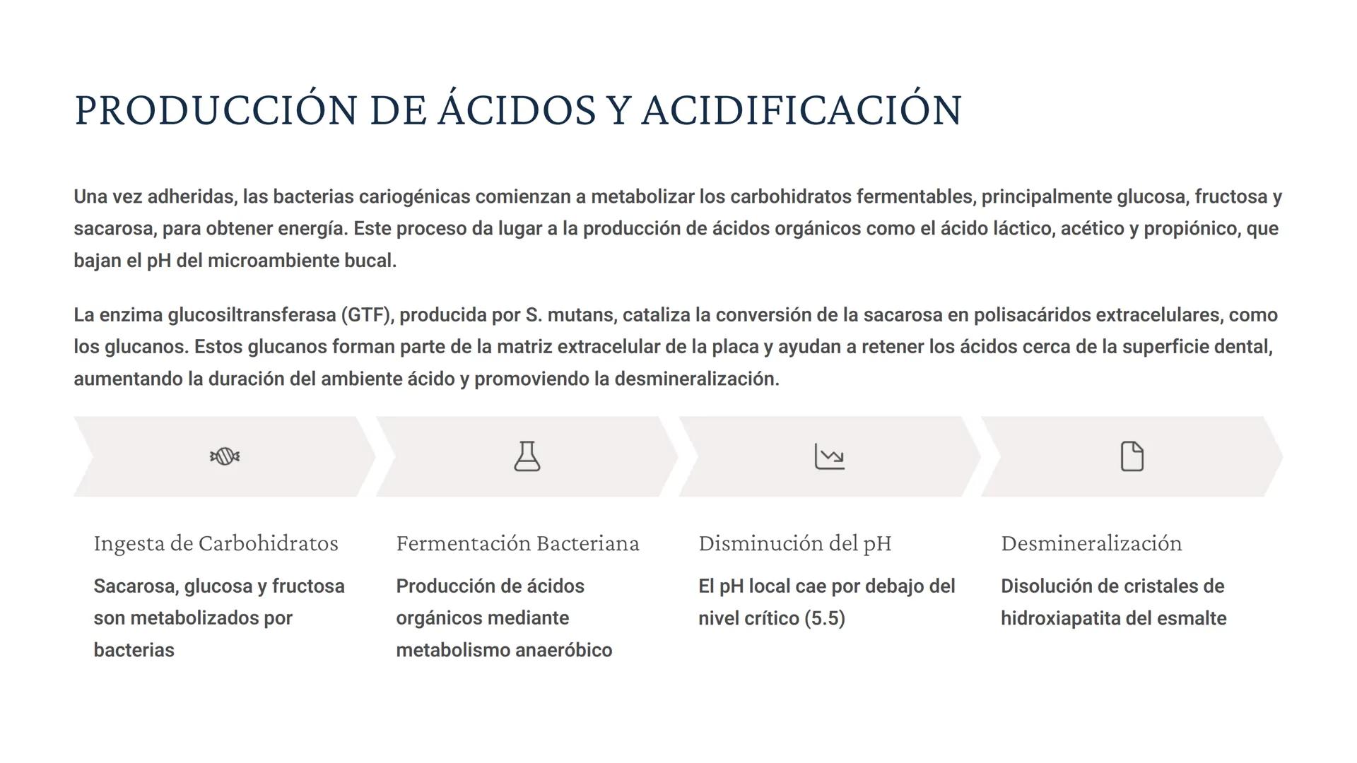 # BIOQUÍMICA DE LAS CARIES
La caries dental es una enfermedad infecciosa multifactorial que resulta de
la interacción prolongada entre los