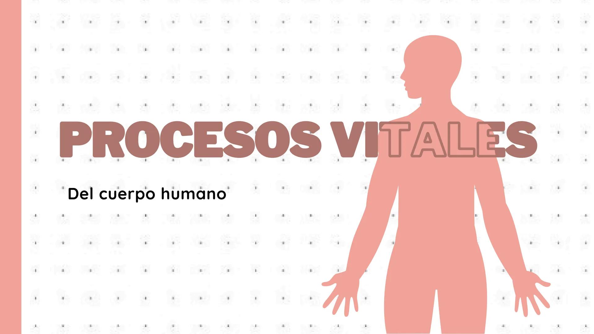 # PROCESOS VITALES
Del cuerpo humano # ¿QUE SON?
Los procesos vitales del cuerpo humano son las funciones
esenciales que permiten que una