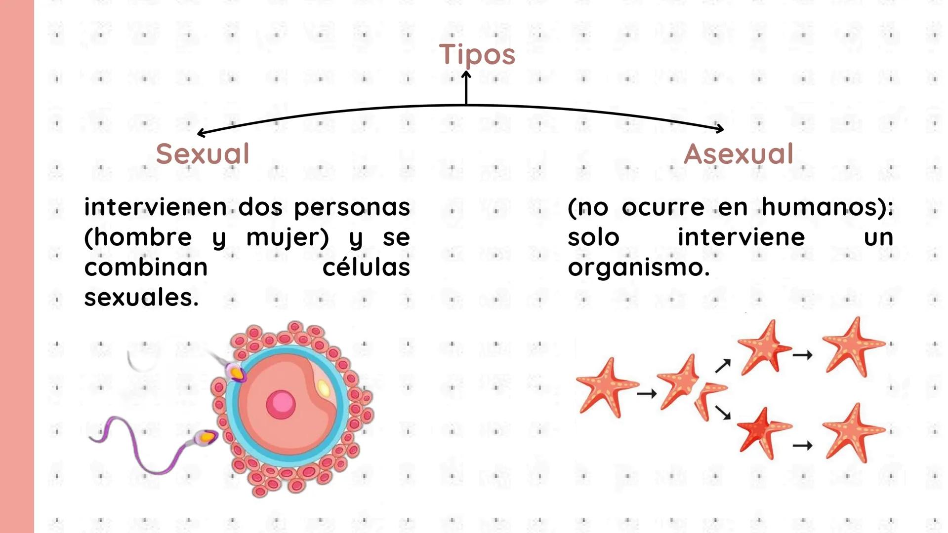 # PROCESOS VITALES
Del cuerpo humano # ¿QUE SON?
Los procesos vitales del cuerpo humano son las funciones
esenciales que permiten que una