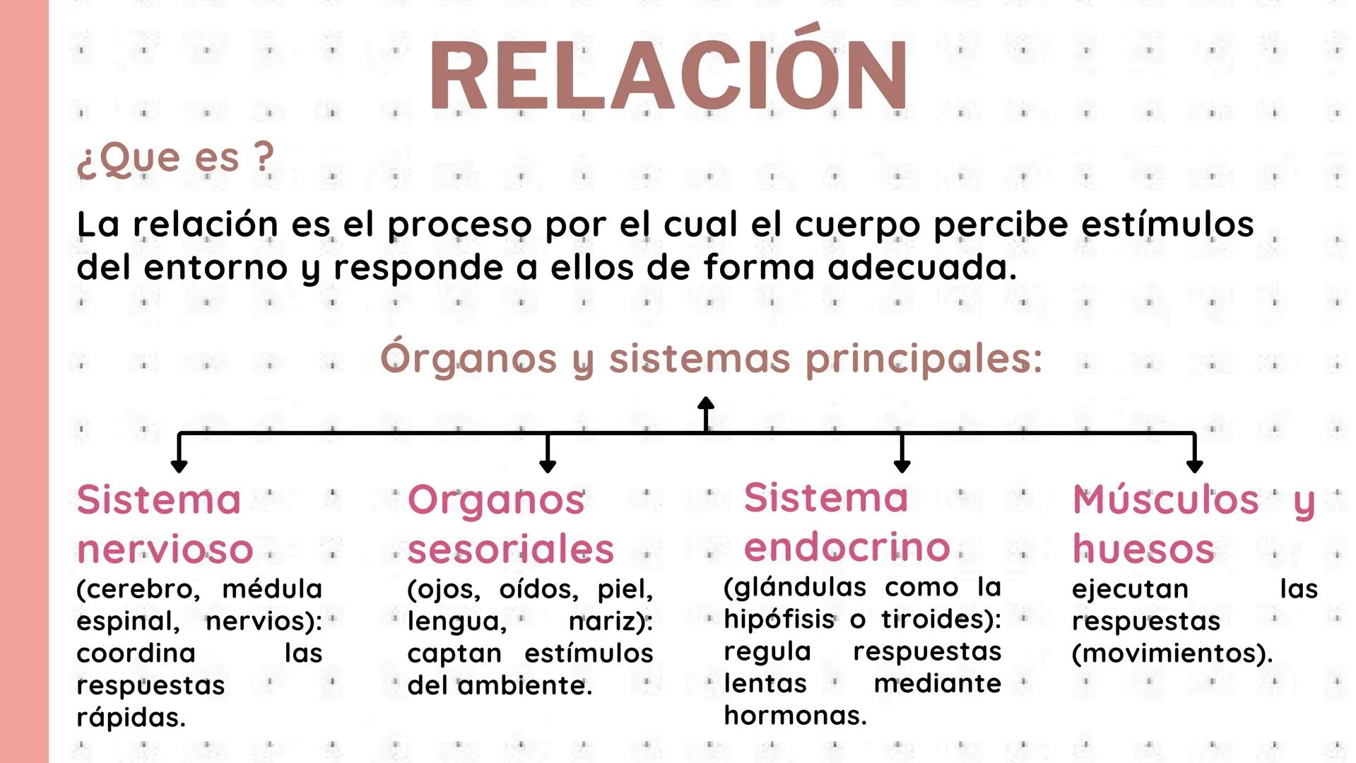# PROCESOS VITALES
Del cuerpo humano # ¿QUE SON?
Los procesos vitales del cuerpo humano son las funciones
esenciales que permiten que una
