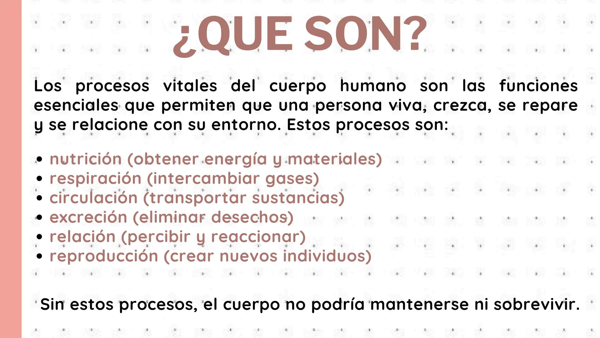 # PROCESOS VITALES
Del cuerpo humano # ¿QUE SON?
Los procesos vitales del cuerpo humano son las funciones
esenciales que permiten que una