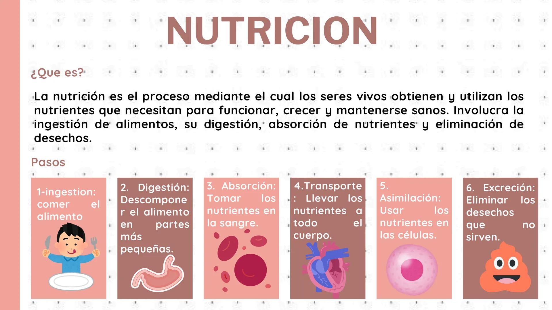 # PROCESOS VITALES
Del cuerpo humano # ¿QUE SON?
Los procesos vitales del cuerpo humano son las funciones
esenciales que permiten que una