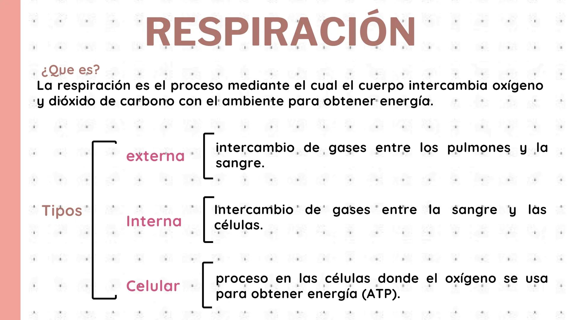 # PROCESOS VITALES
Del cuerpo humano # ¿QUE SON?
Los procesos vitales del cuerpo humano son las funciones
esenciales que permiten que una