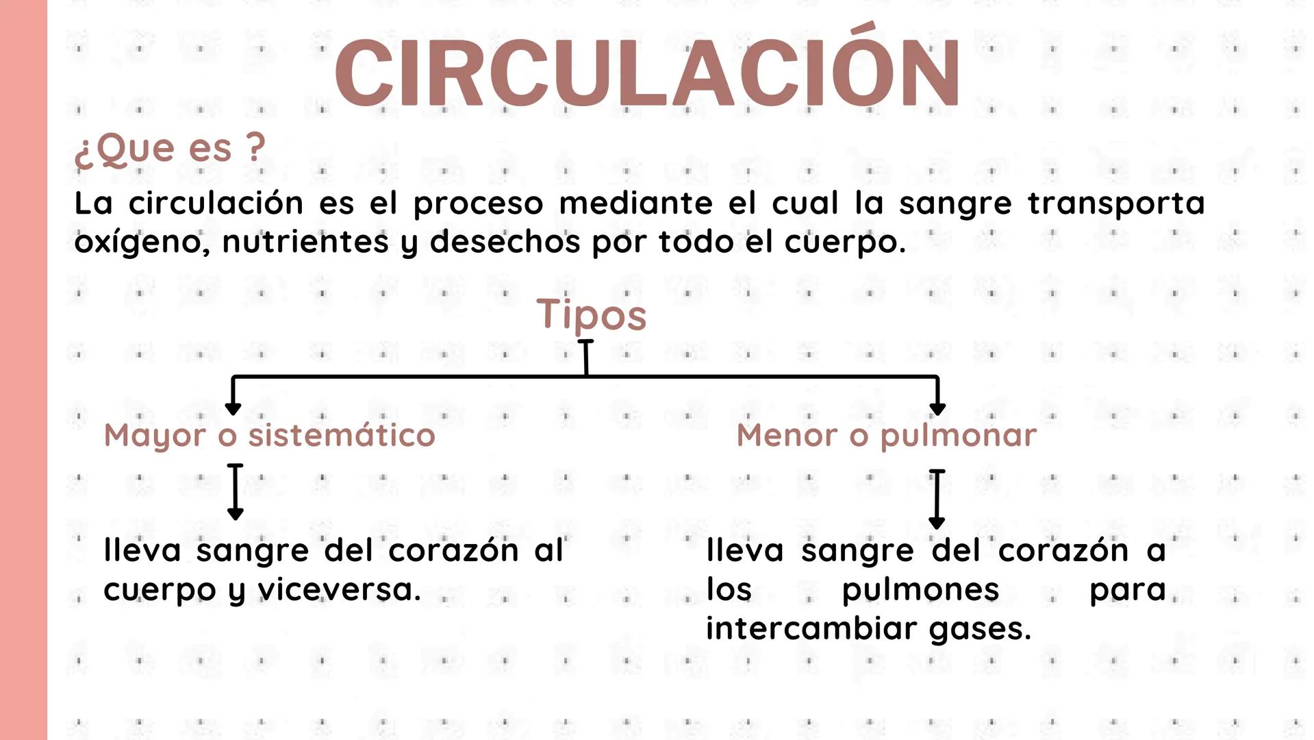 # PROCESOS VITALES
Del cuerpo humano # ¿QUE SON?
Los procesos vitales del cuerpo humano son las funciones
esenciales que permiten que una