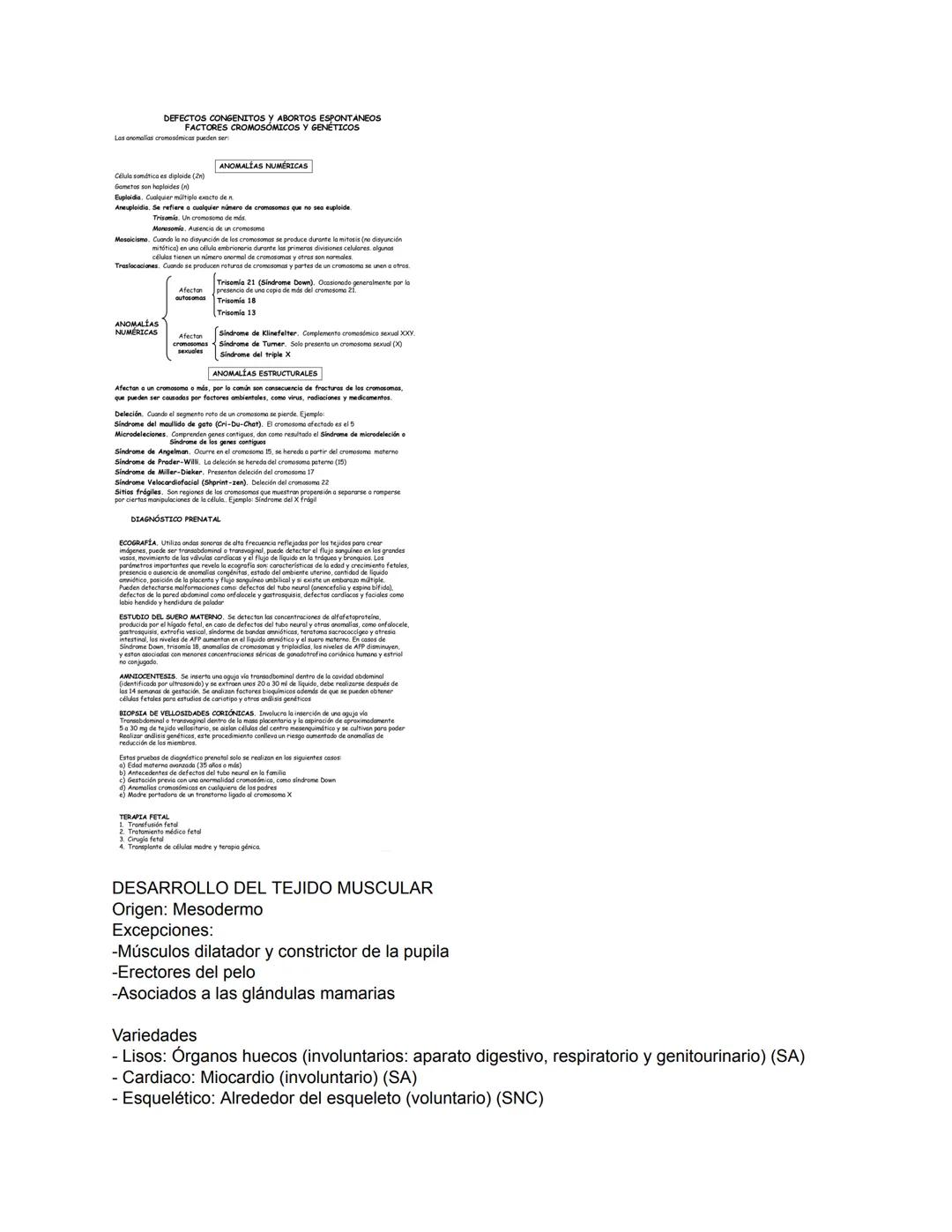 Embriología Etapa 2
DESARROLLO DE LA PLACENTA
Desarrollo de las vellosidades coriónicas
2da semana (Día 13)
El trofoblasto empieza a desar