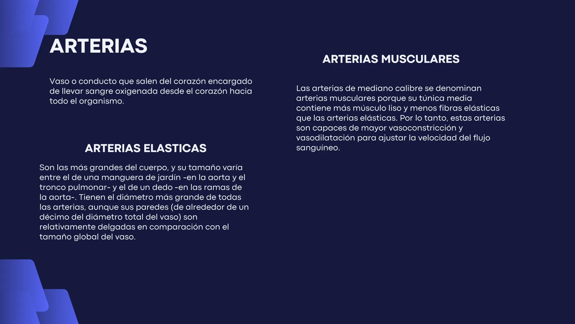 # Aparato
# Cardiovascular
KIMBERLI DÍAZ CHI
EMILY CANCHÉ TOLEDANO
FERNANDA ROVIROSA YÉPEZ
NELCY MALDONADO ESCAMILLA # GENERALIDADES Y ANAT