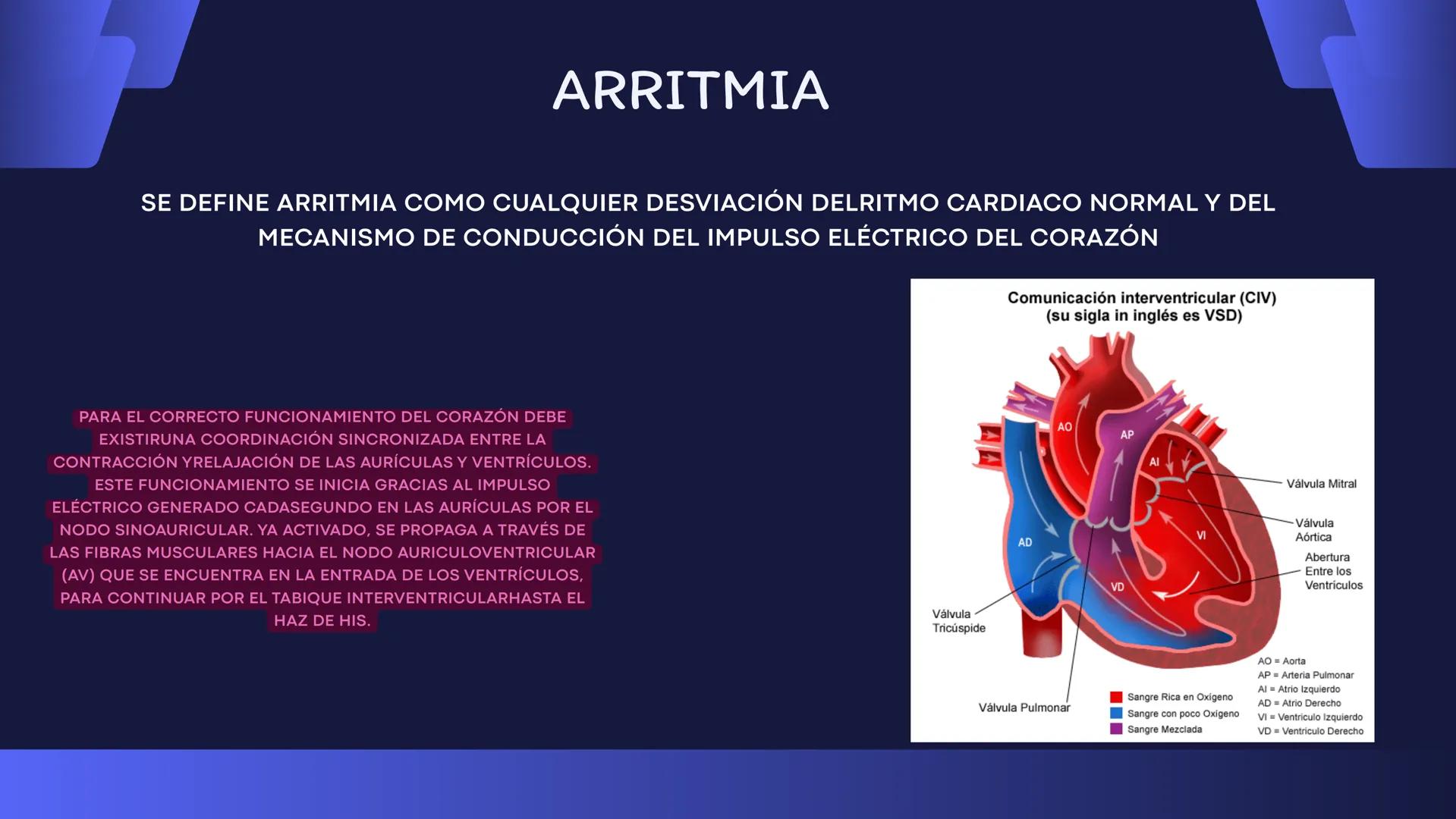 # Aparato
# Cardiovascular
KIMBERLI DÍAZ CHI
EMILY CANCHÉ TOLEDANO
FERNANDA ROVIROSA YÉPEZ
NELCY MALDONADO ESCAMILLA # GENERALIDADES Y ANAT