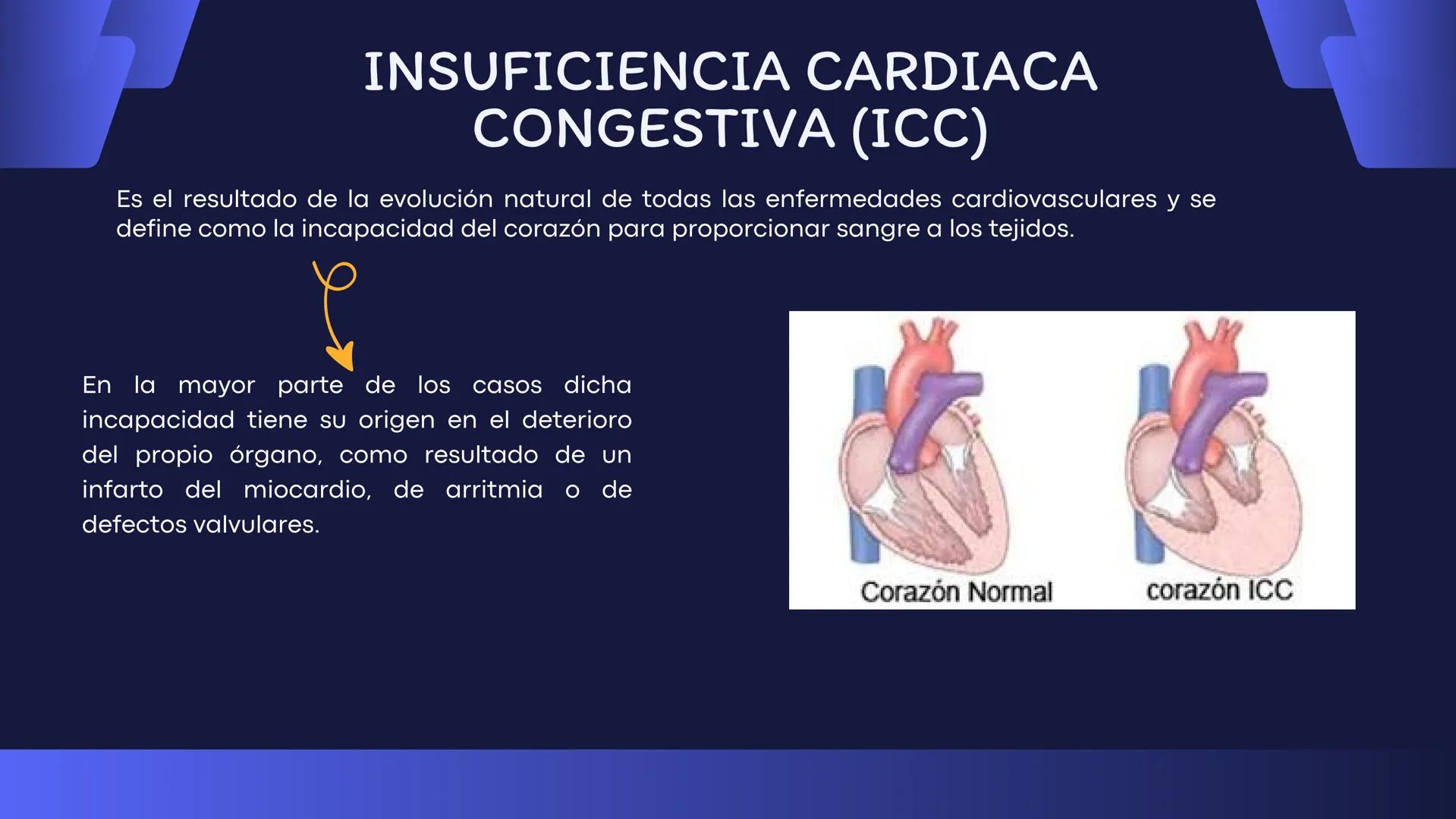 # Aparato
# Cardiovascular
KIMBERLI DÍAZ CHI
EMILY CANCHÉ TOLEDANO
FERNANDA ROVIROSA YÉPEZ
NELCY MALDONADO ESCAMILLA # GENERALIDADES Y ANAT