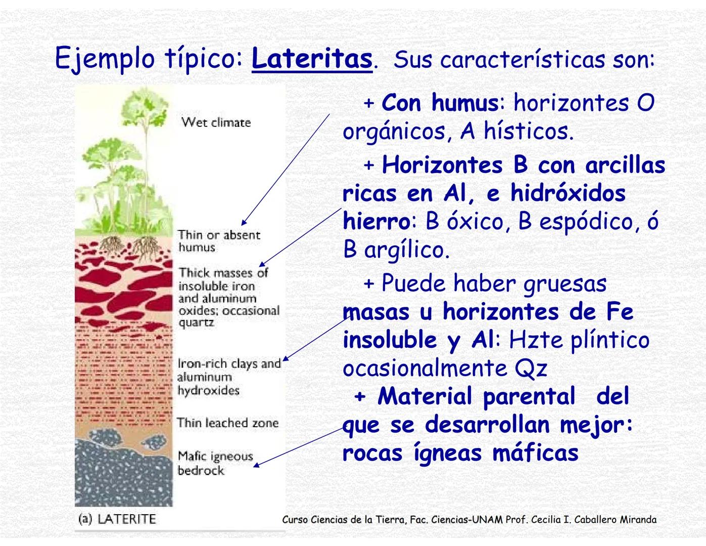 Suelos
Curso Ciencias de la Tierra, Fac. Ciencias-UNAM
Prof. Cecilia I. Caballero Miranda # Estudio del suelo
CIENCIAS dedicadas al estudi