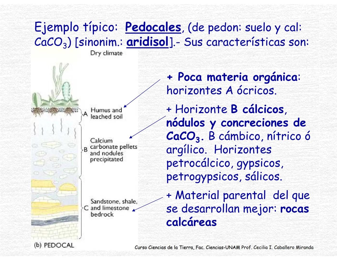 Suelos
Curso Ciencias de la Tierra, Fac. Ciencias-UNAM
Prof. Cecilia I. Caballero Miranda # Estudio del suelo
CIENCIAS dedicadas al estudi