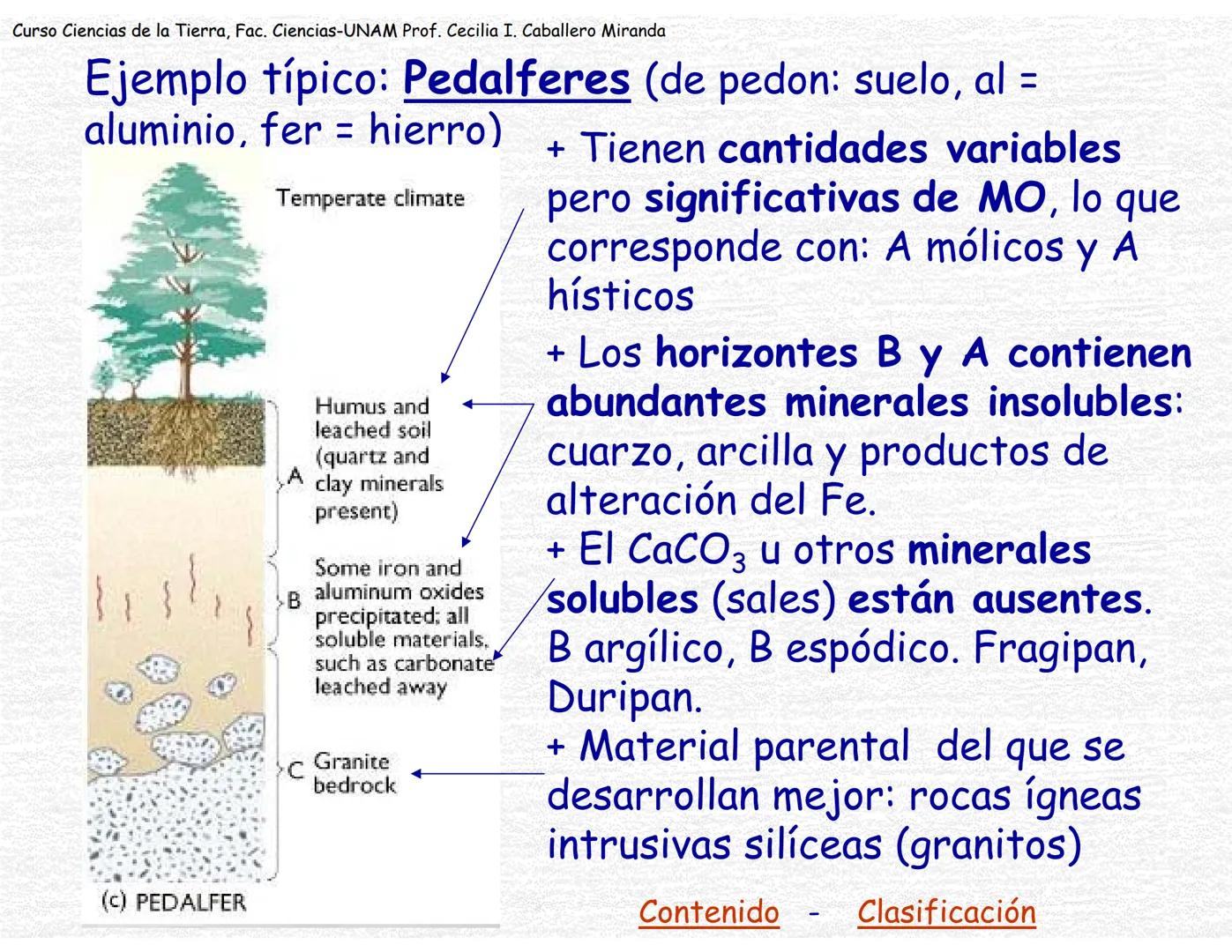 Suelos
Curso Ciencias de la Tierra, Fac. Ciencias-UNAM
Prof. Cecilia I. Caballero Miranda # Estudio del suelo
CIENCIAS dedicadas al estudi