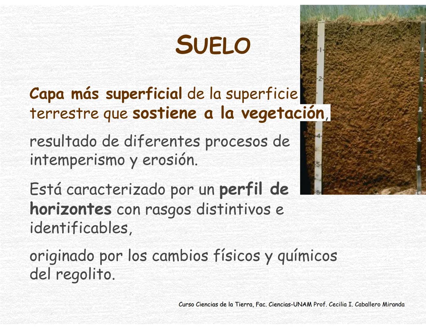 Suelos
Curso Ciencias de la Tierra, Fac. Ciencias-UNAM
Prof. Cecilia I. Caballero Miranda # Estudio del suelo
CIENCIAS dedicadas al estudi