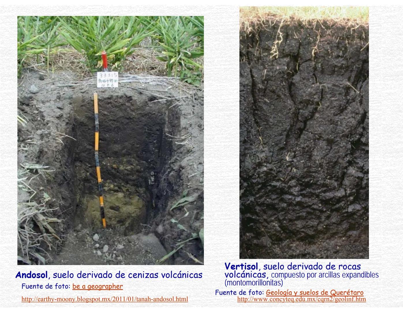 Suelos
Curso Ciencias de la Tierra, Fac. Ciencias-UNAM
Prof. Cecilia I. Caballero Miranda # Estudio del suelo
CIENCIAS dedicadas al estudi