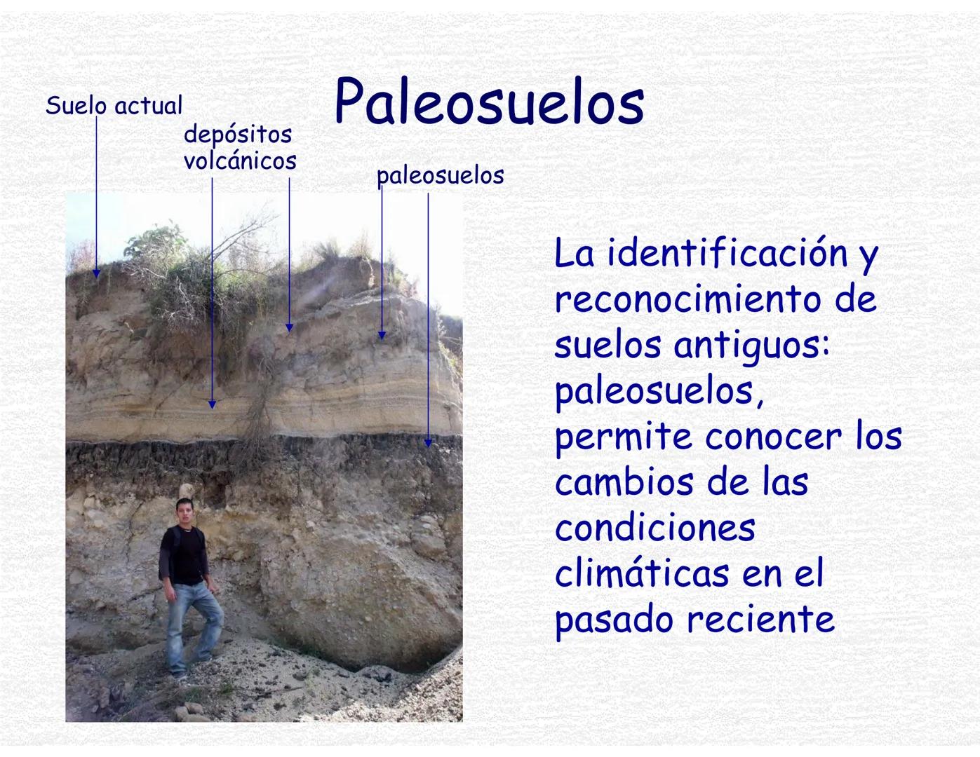 Suelos
Curso Ciencias de la Tierra, Fac. Ciencias-UNAM
Prof. Cecilia I. Caballero Miranda # Estudio del suelo
CIENCIAS dedicadas al estudi