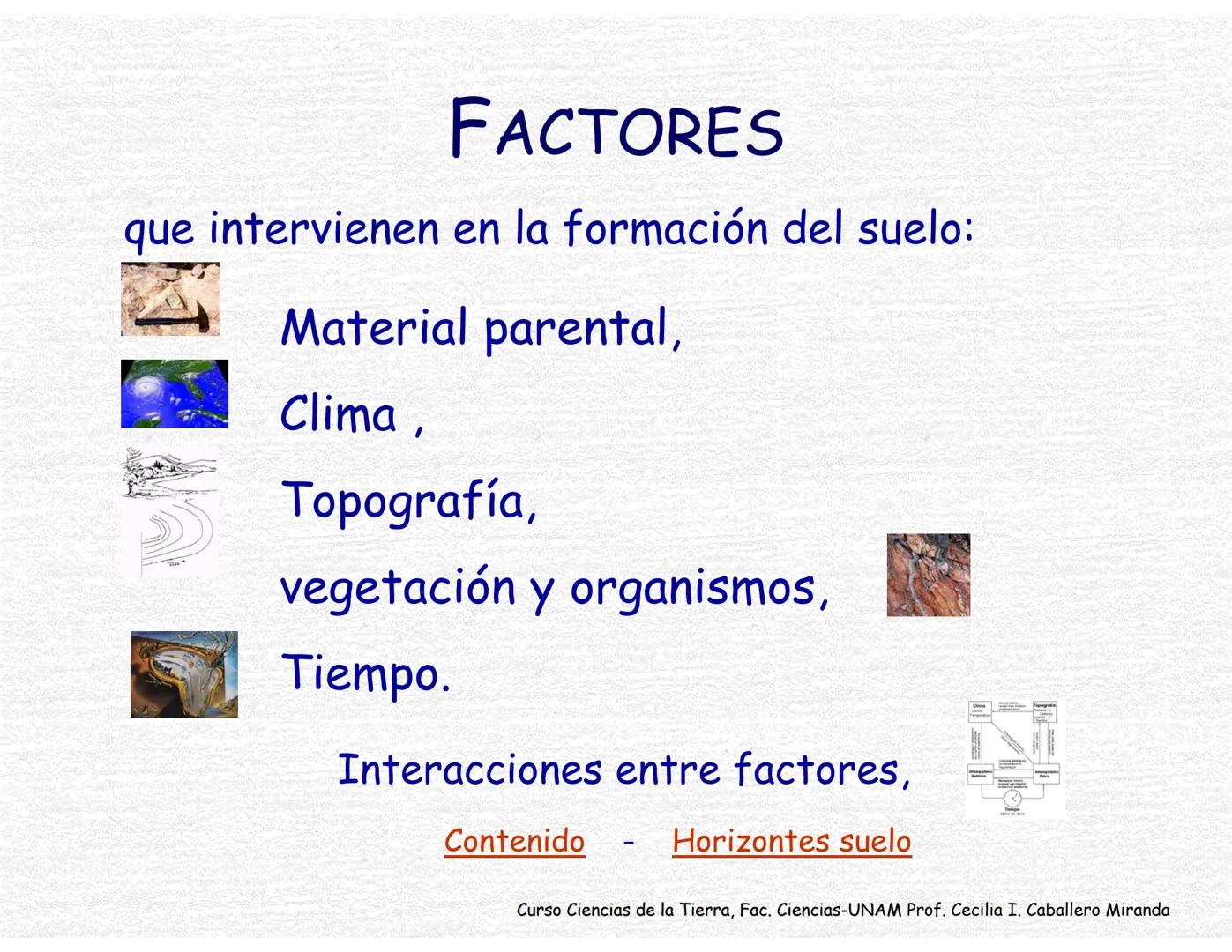 Suelos
Curso Ciencias de la Tierra, Fac. Ciencias-UNAM
Prof. Cecilia I. Caballero Miranda # Estudio del suelo
CIENCIAS dedicadas al estudi