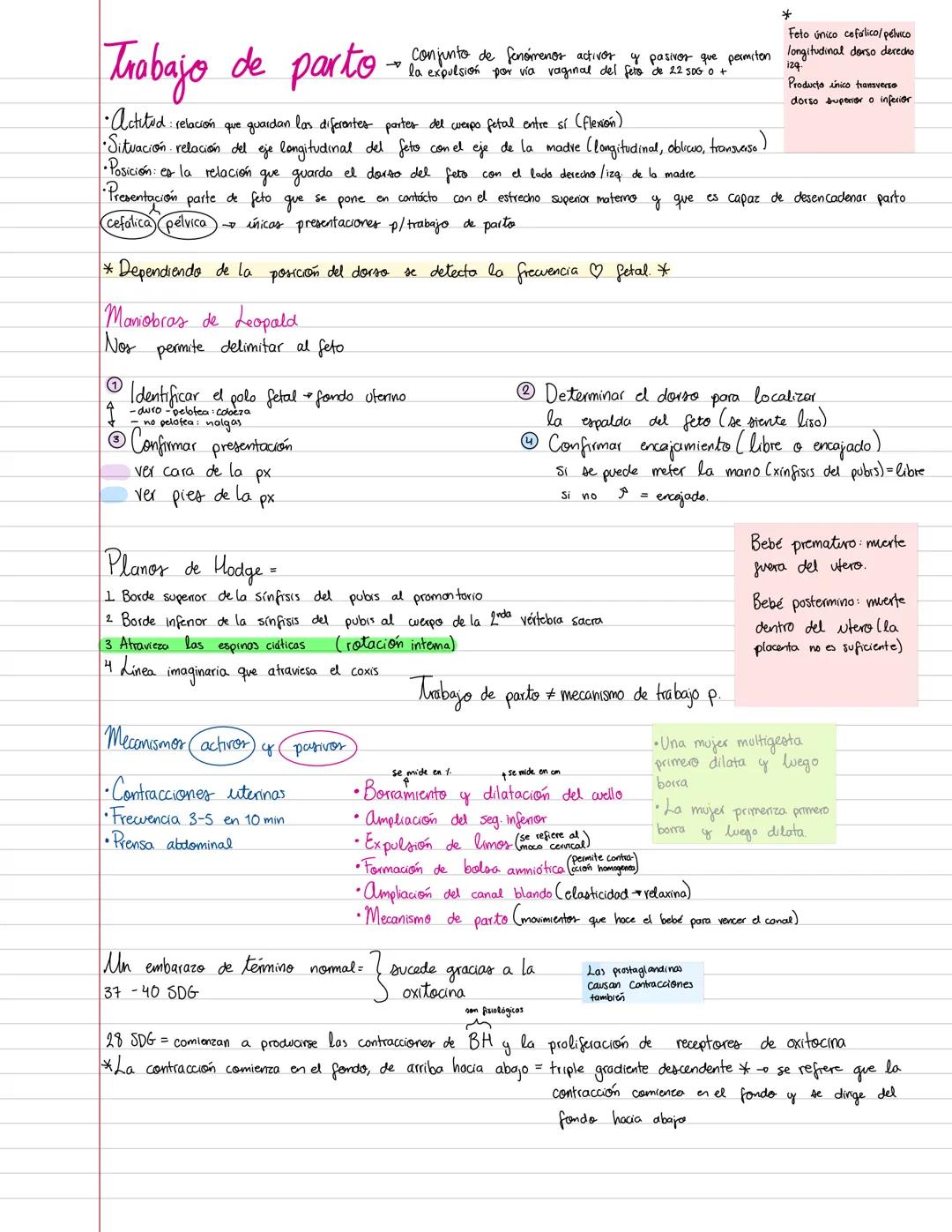 Evaluación
Excentar amiba de 7
Exámenes 80% (2)
Trabajos 2.0%
¿Qué es la ginecología?
Ginecología: rama de la medicina que estudia e apara