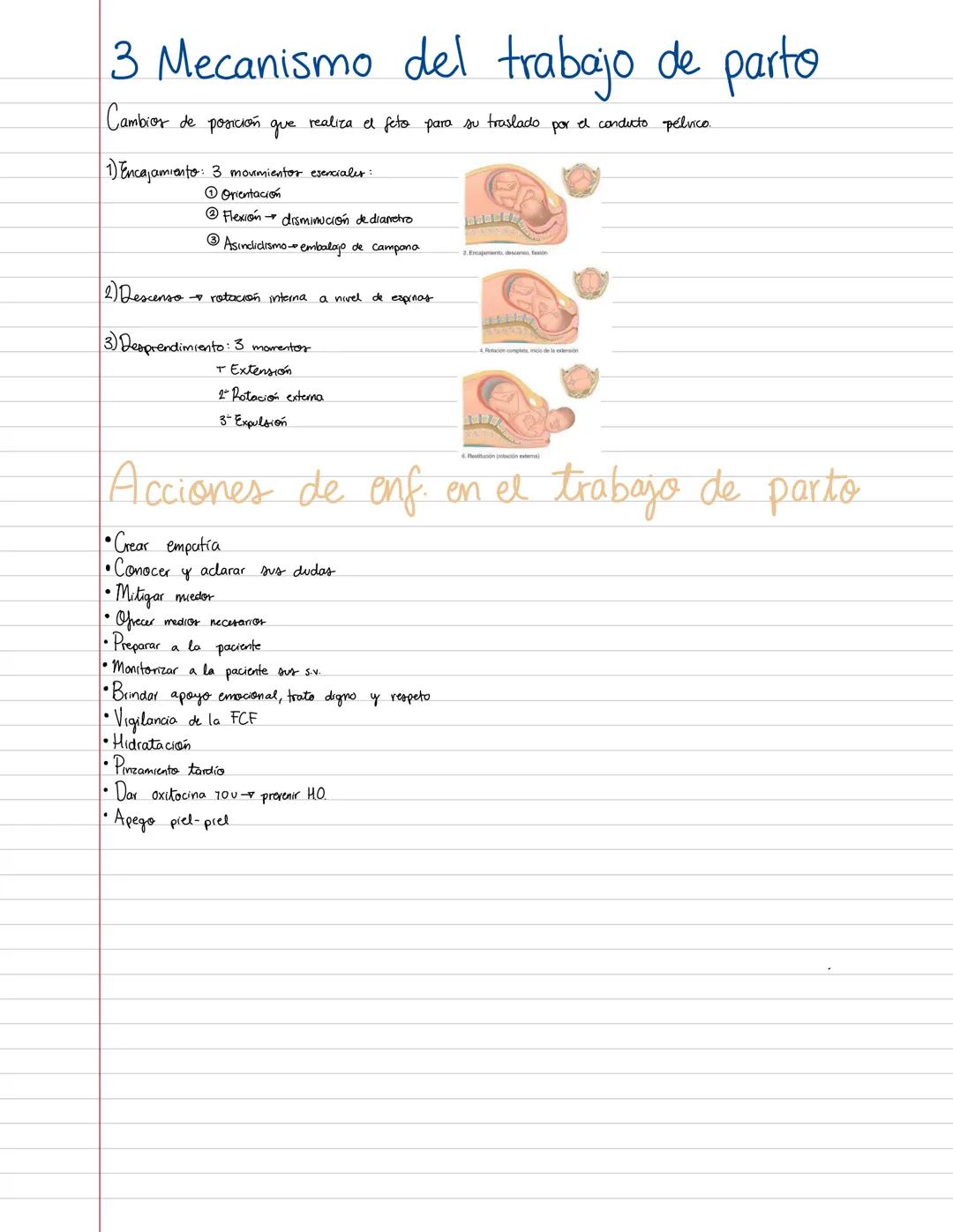 Evaluación
Excentar amiba de 7
Exámenes 80% (2)
Trabajos 2.0%
¿Qué es la ginecología?
Ginecología: rama de la medicina que estudia e apara