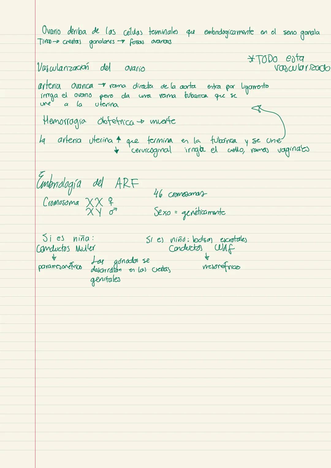 Evaluación
Excentar amiba de 7
Exámenes 80% (2)
Trabajos 2.0%
¿Qué es la ginecología?
Ginecología: rama de la medicina que estudia e apara