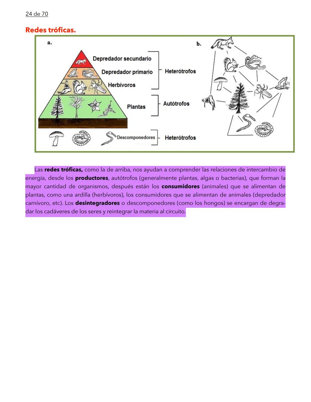 1 de 70
BIOLOGÍA
La biología es la ciencia que se encarga de estudiar a los seres vivos y a las relaciones que esta-
blecen entre ellos mi