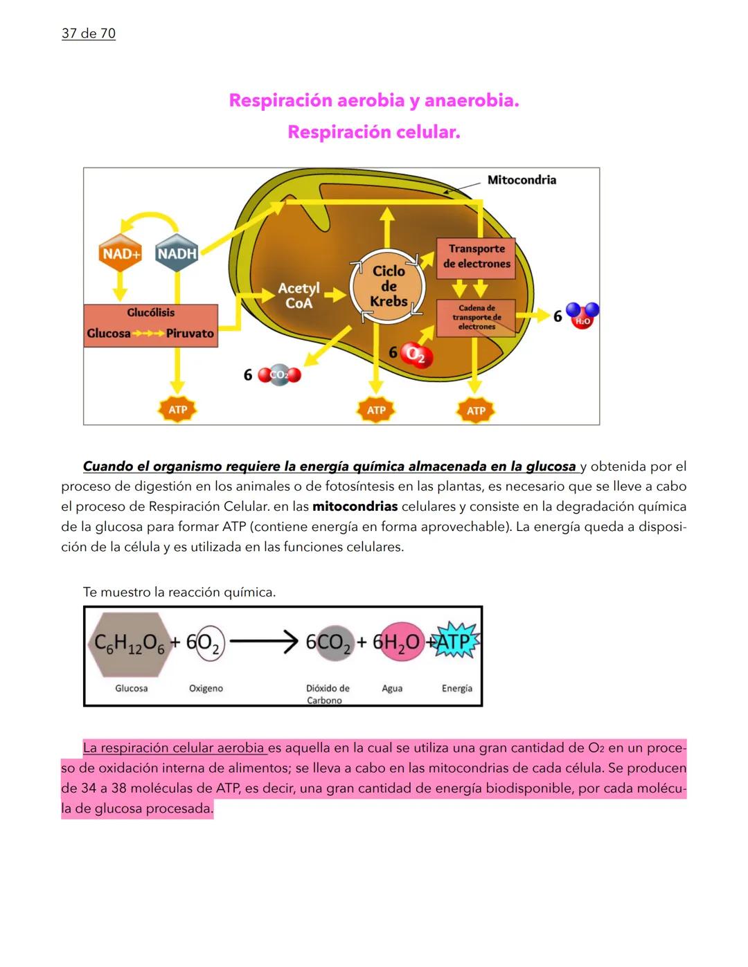 1 de 70
BIOLOGÍA
La biología es la ciencia que se encarga de estudiar a los seres vivos y a las relaciones que esta-
blecen entre ellos mi