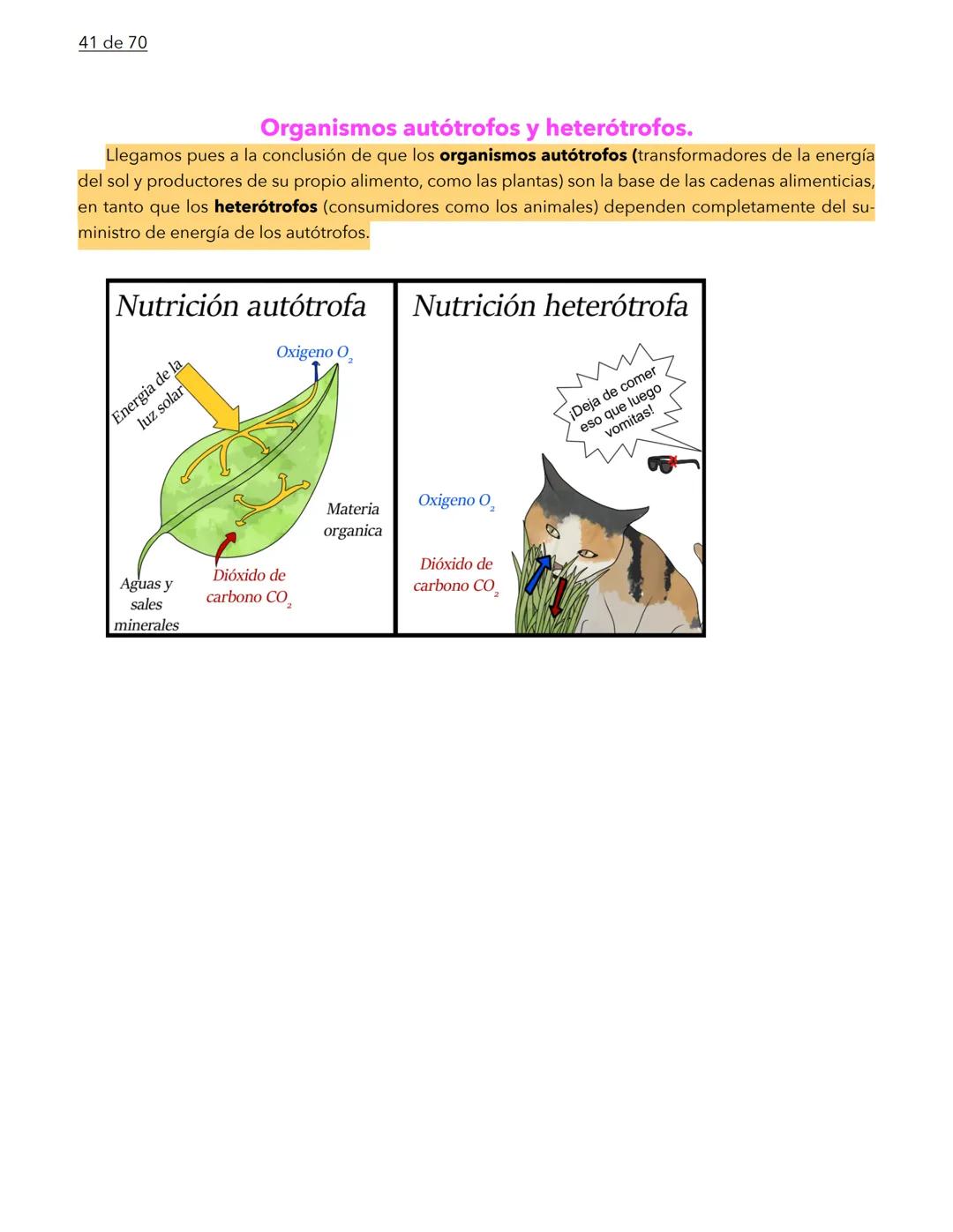 1 de 70
BIOLOGÍA
La biología es la ciencia que se encarga de estudiar a los seres vivos y a las relaciones que esta-
blecen entre ellos mi