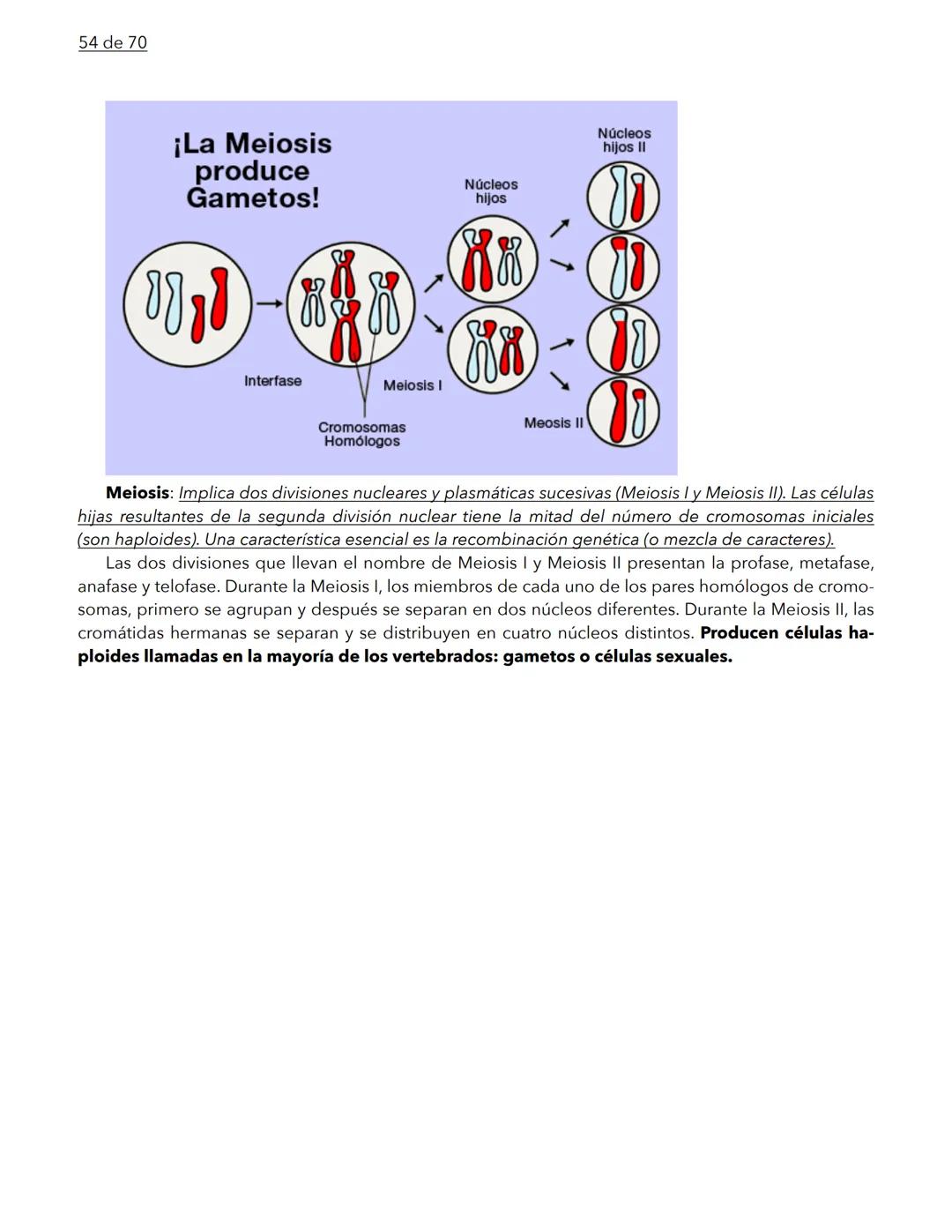 1 de 70
BIOLOGÍA
La biología es la ciencia que se encarga de estudiar a los seres vivos y a las relaciones que esta-
blecen entre ellos mi