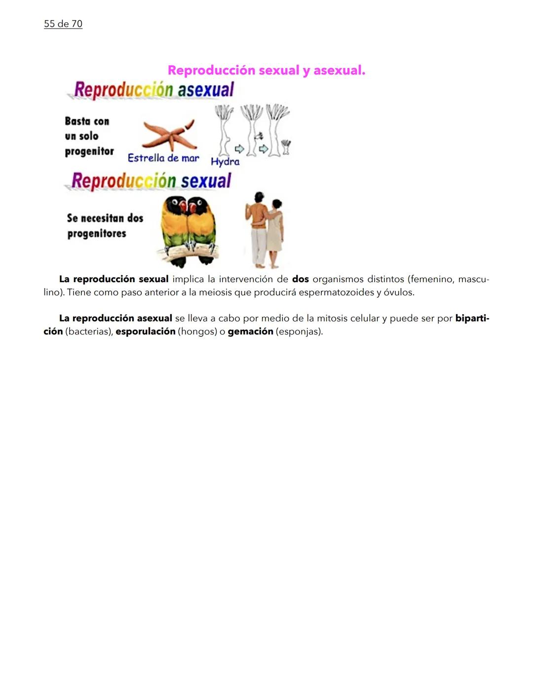 1 de 70
BIOLOGÍA
La biología es la ciencia que se encarga de estudiar a los seres vivos y a las relaciones que esta-
blecen entre ellos mi