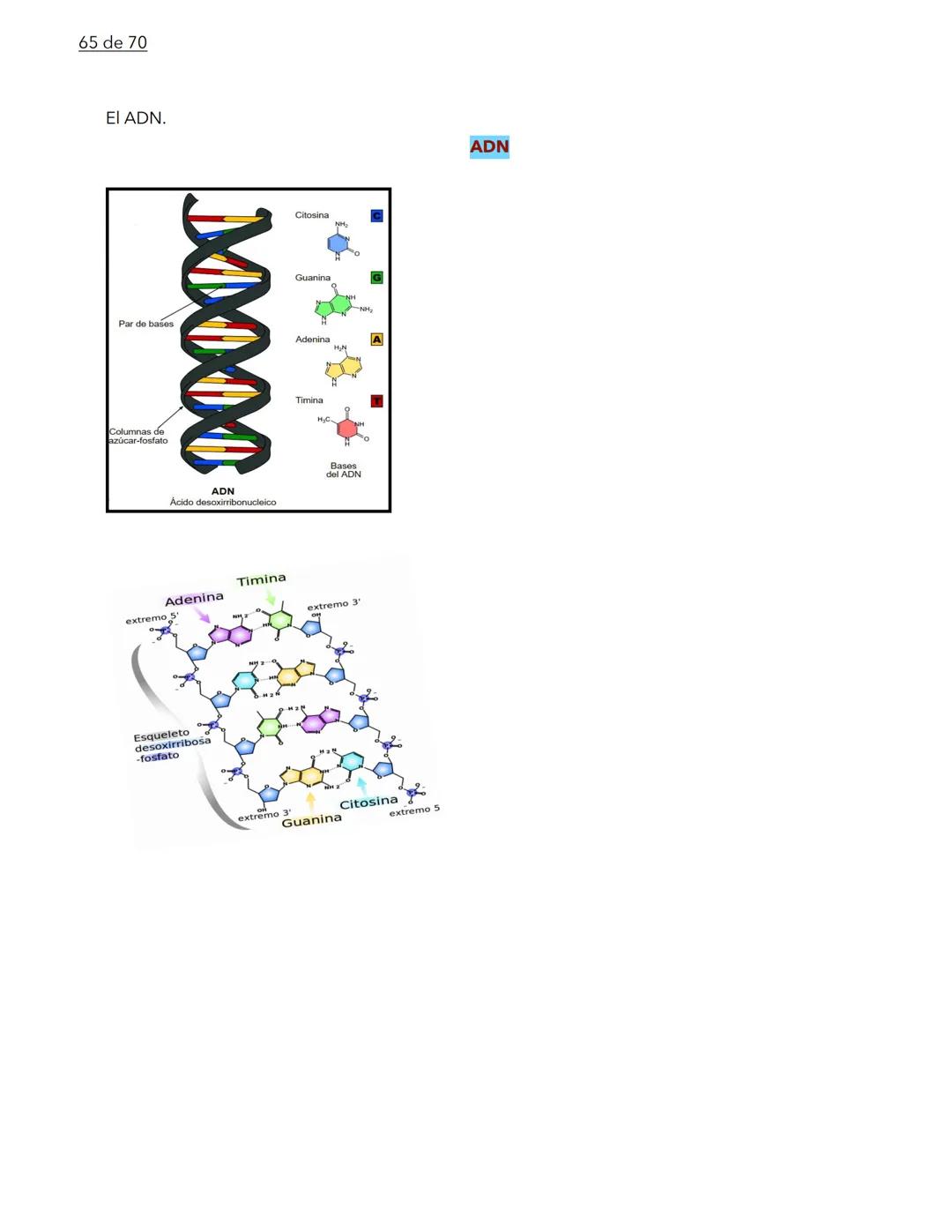 1 de 70
BIOLOGÍA
La biología es la ciencia que se encarga de estudiar a los seres vivos y a las relaciones que esta-
blecen entre ellos mi