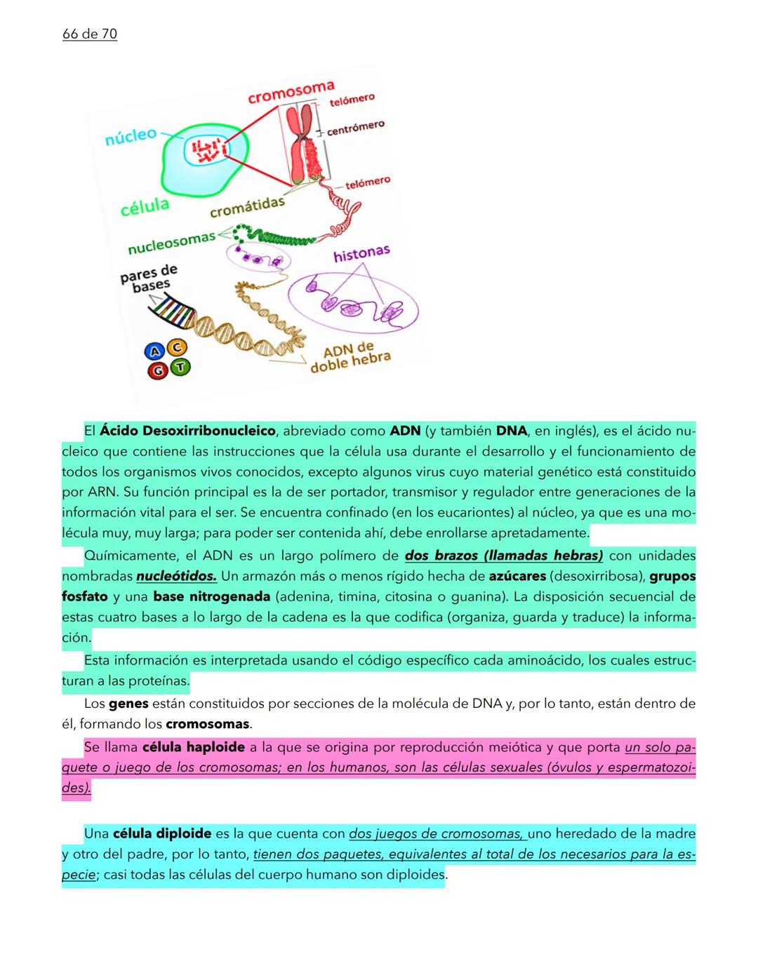 1 de 70
BIOLOGÍA
La biología es la ciencia que se encarga de estudiar a los seres vivos y a las relaciones que esta-
blecen entre ellos mi