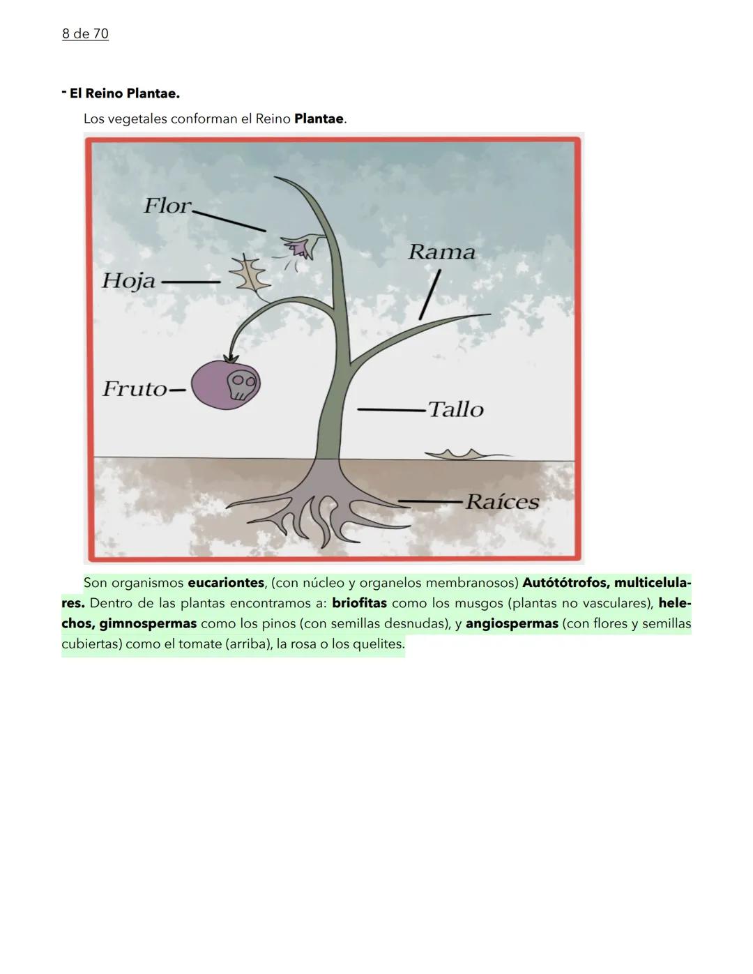 1 de 70
BIOLOGÍA
La biología es la ciencia que se encarga de estudiar a los seres vivos y a las relaciones que esta-
blecen entre ellos mi