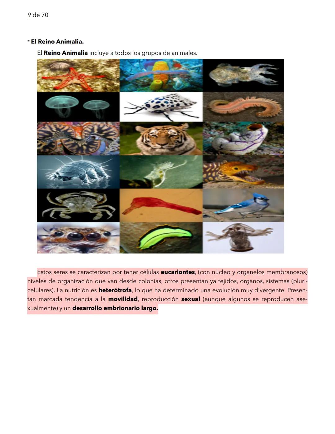 1 de 70
BIOLOGÍA
La biología es la ciencia que se encarga de estudiar a los seres vivos y a las relaciones que esta-
blecen entre ellos mi