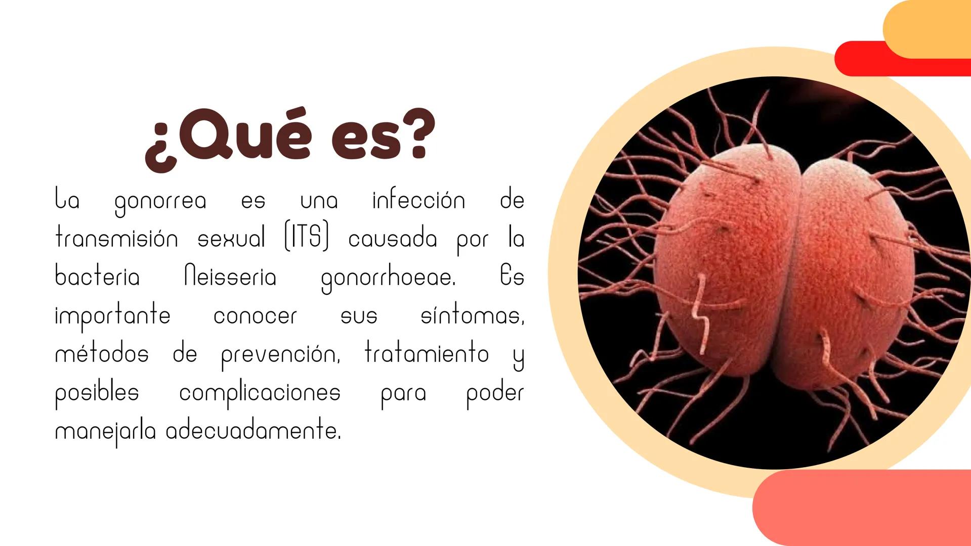 ## Gonorrea ¿Qué es?
La gonorrea es una infección de
transmisión sexual (ITS) causada por la
bacteria Neisseria gonorrhoeae. Es
importante c