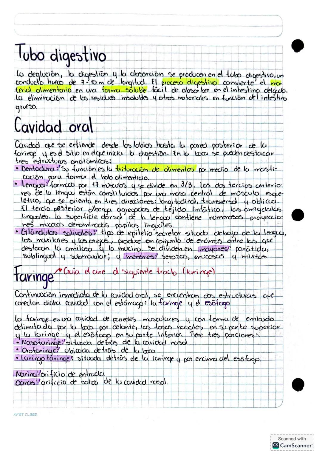 SISTEMA DIGESTIVO
Organización
Comprende al tubo o tracto digestivo y los órganos auxiliares que permiten el
correcto funcionamiento del sis