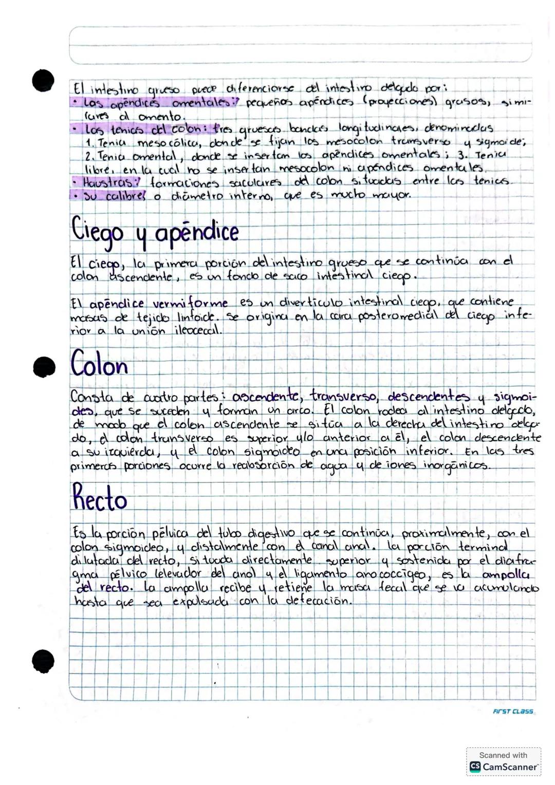 SISTEMA DIGESTIVO
Organización
Comprende al tubo o tracto digestivo y los órganos auxiliares que permiten el
correcto funcionamiento del sis