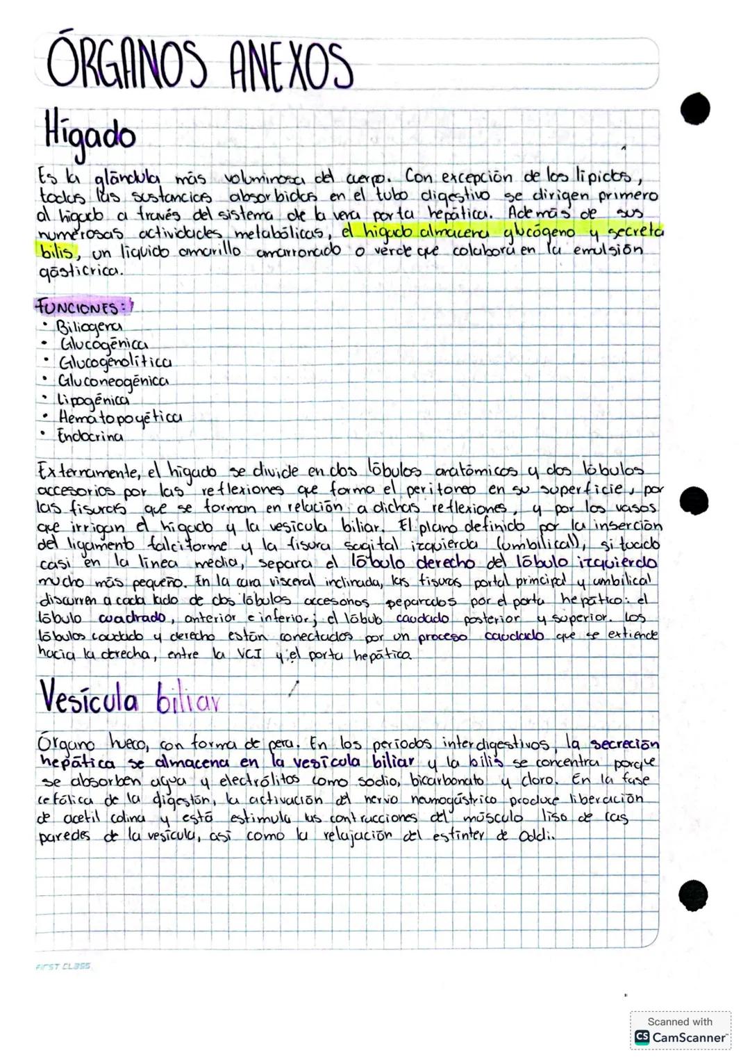 SISTEMA DIGESTIVO
Organización
Comprende al tubo o tracto digestivo y los órganos auxiliares que permiten el
correcto funcionamiento del sis