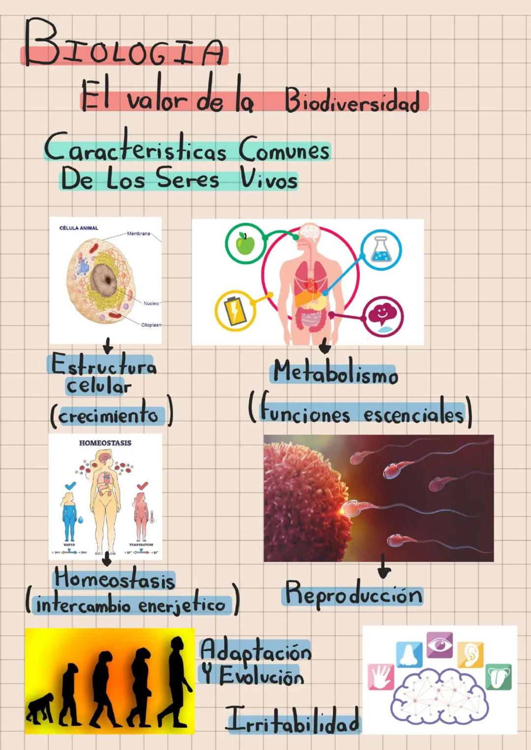 BIOLOGIA
El valor de la Biodiversidad
Caracteristicas Comunes
De Los Seres Vivos
CÉLULA ANIMAL
Membrana
Estructura
celular
(crecimiento)
HOM