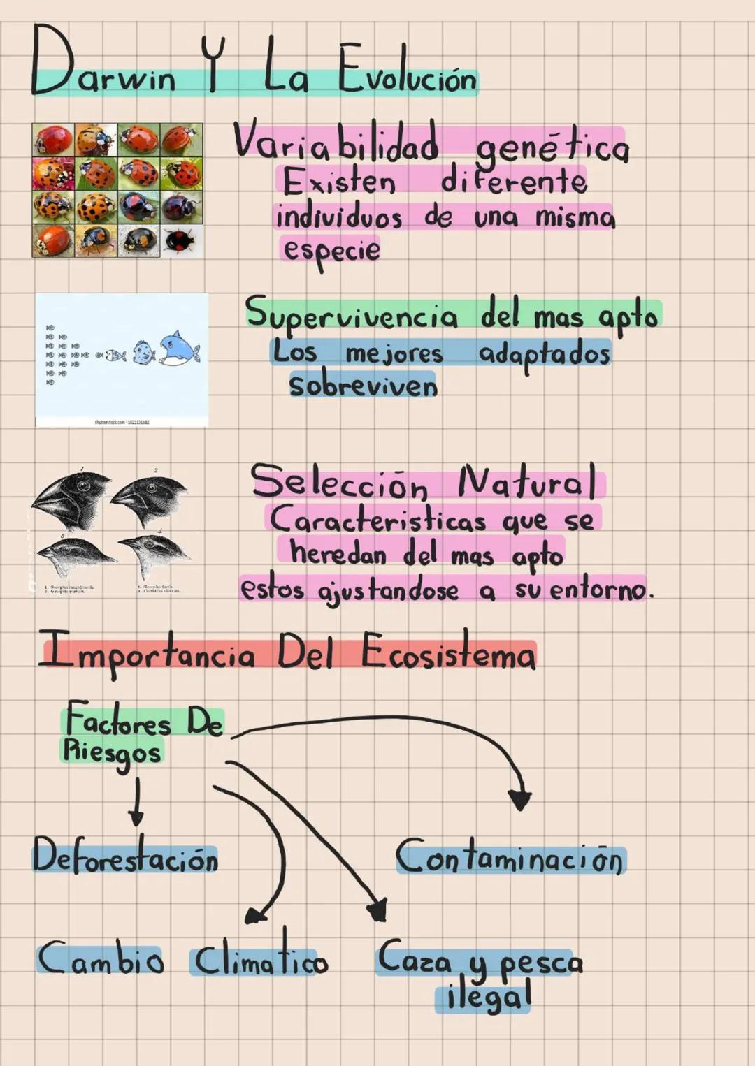 BIOLOGIA
El valor de la Biodiversidad
Caracteristicas Comunes
De Los Seres Vivos
CÉLULA ANIMAL
Membrana
Estructura
celular
(crecimiento)
HOM