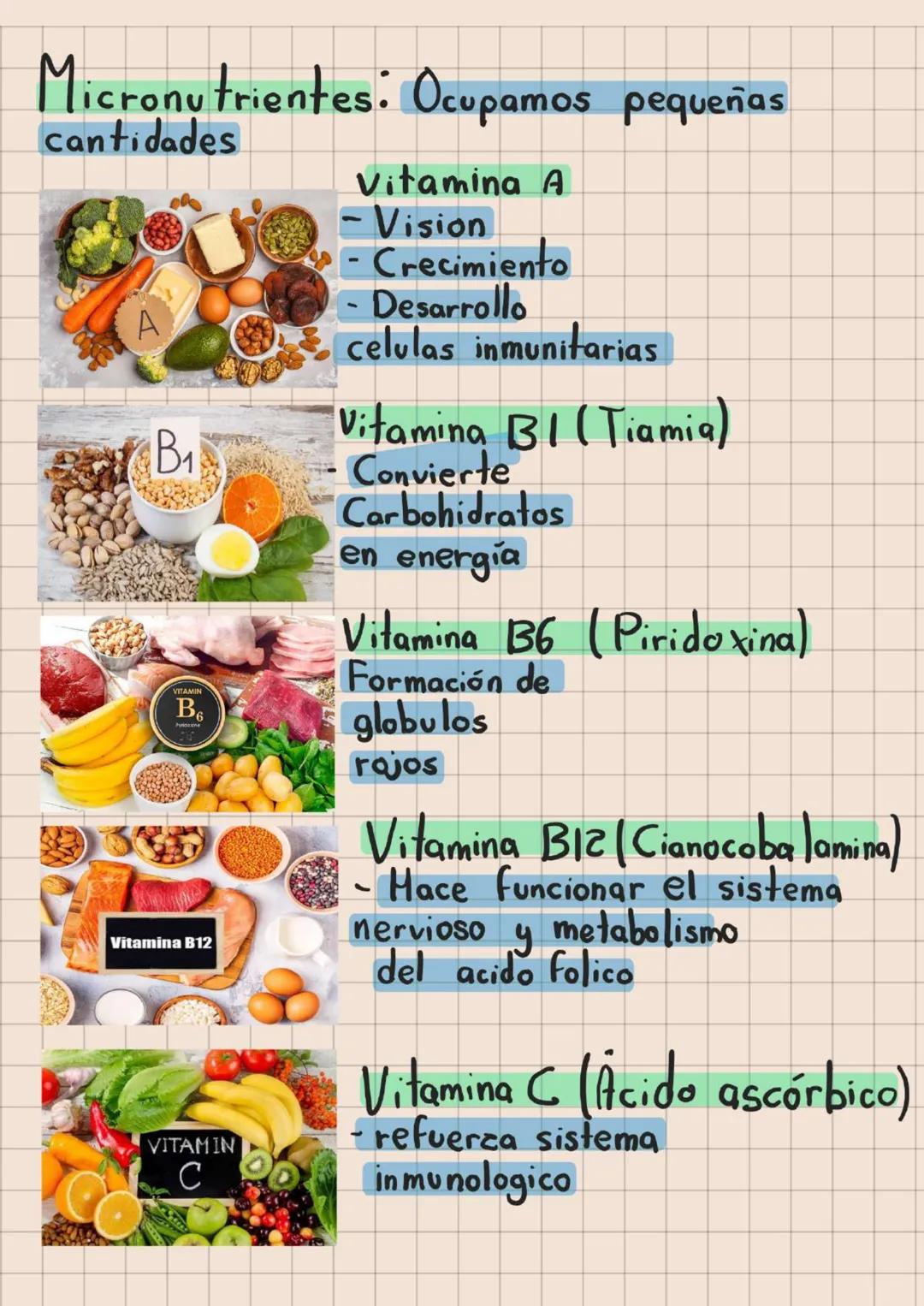 BIOLOGIA
El valor de la Biodiversidad
Caracteristicas Comunes
De Los Seres Vivos
CÉLULA ANIMAL
Membrana
Estructura
celular
(crecimiento)
HOM