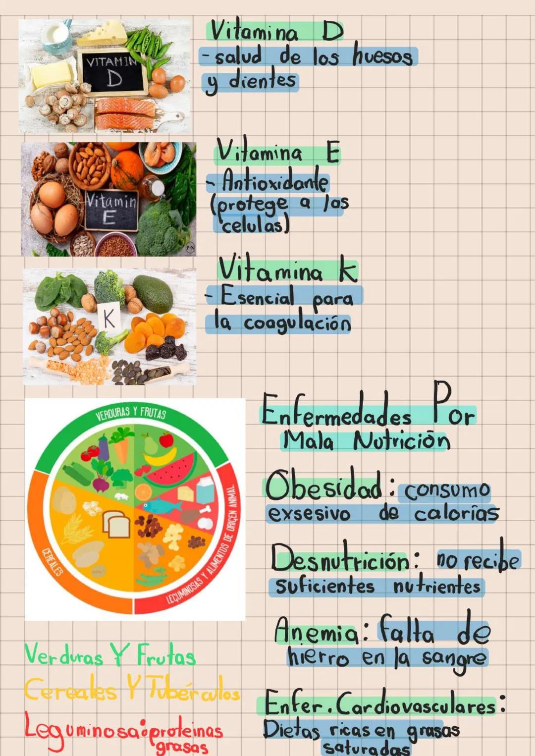 BIOLOGIA
El valor de la Biodiversidad
Caracteristicas Comunes
De Los Seres Vivos
CÉLULA ANIMAL
Membrana
Estructura
celular
(crecimiento)
HOM